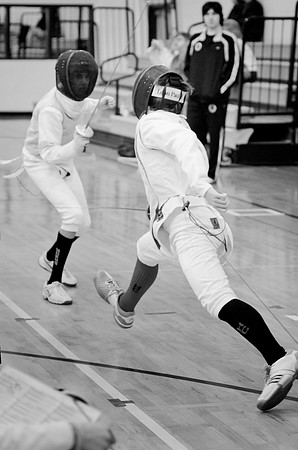 fencing-05-8x12