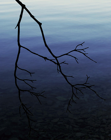 Despair