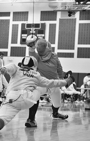 fencing-01-8x12