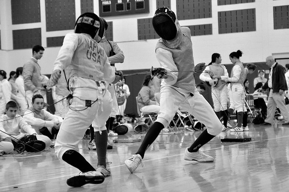 fencing-02-8x12